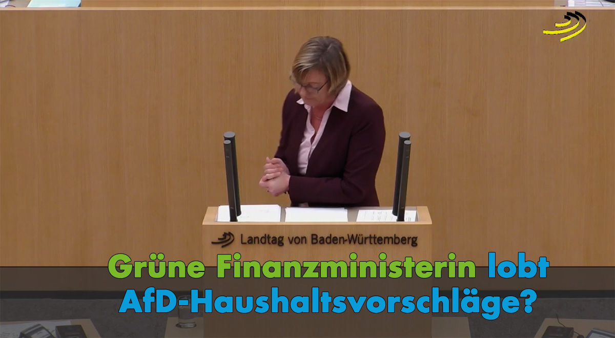 Finanzhaushalt 2018/2019: Grüne Finanzministerin lobt AfD-Vorschläge?