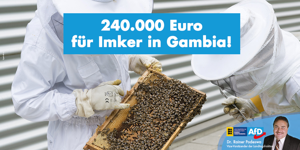 Landesregierung verschwendet Steuergeld für Imker in Gambia!