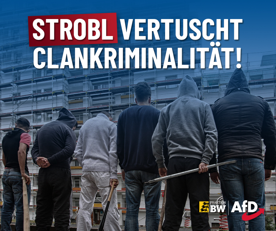 Dr. Rainer Podeswa: Strobl vertuscht Clankriminalität